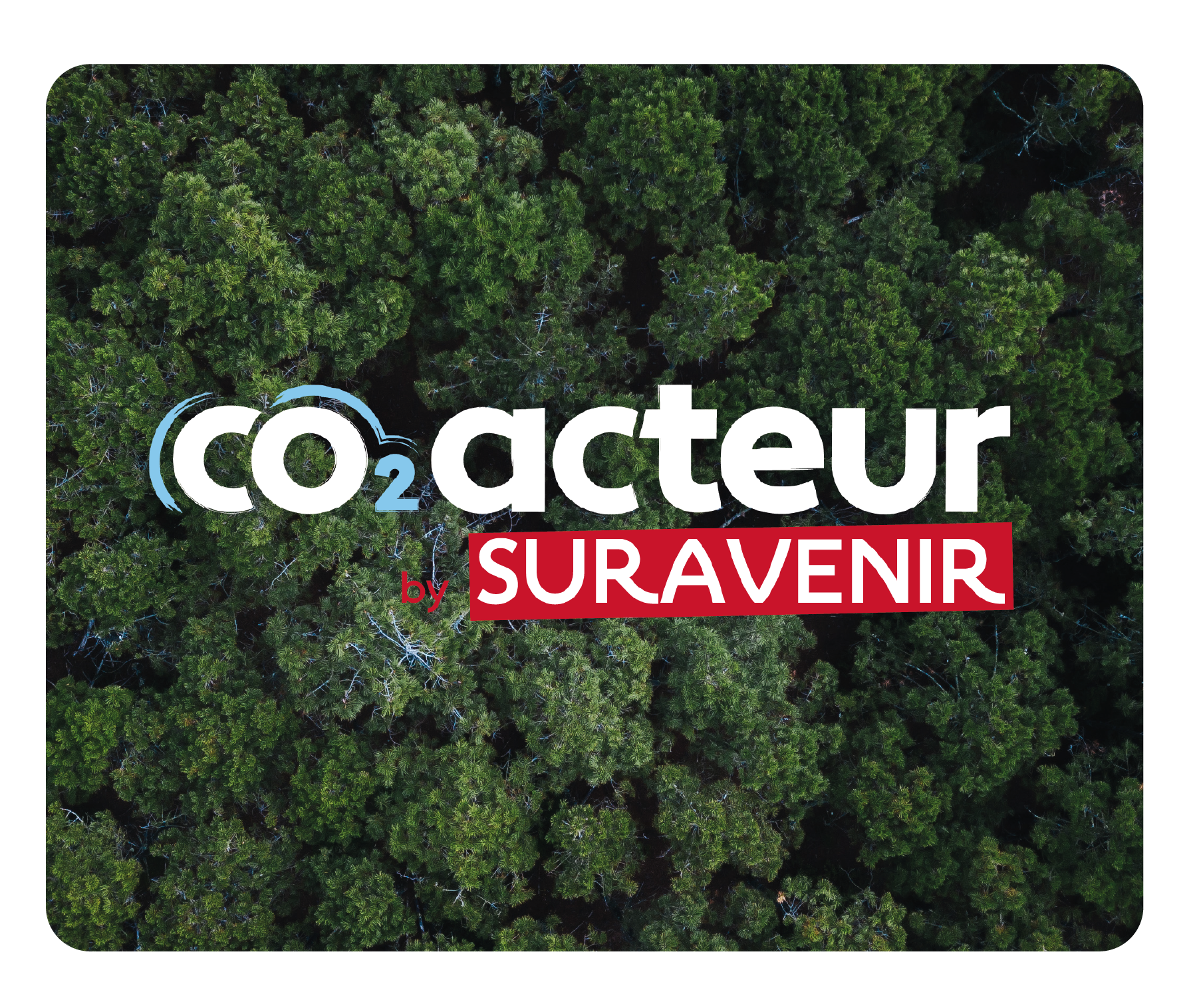 Co2 acteur sur fond foret